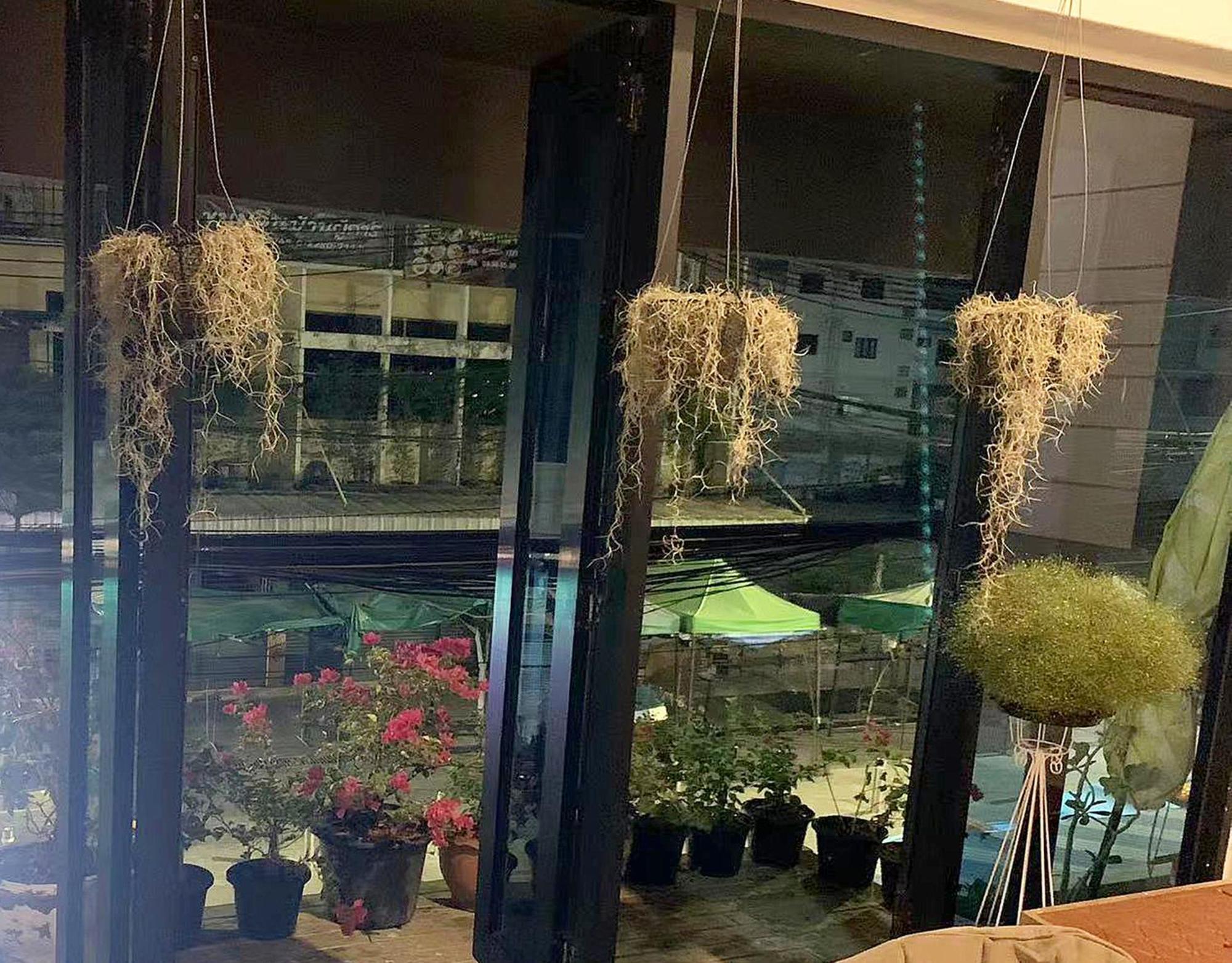 Susu Khaosan Hostel Bangkok Exteriör bild